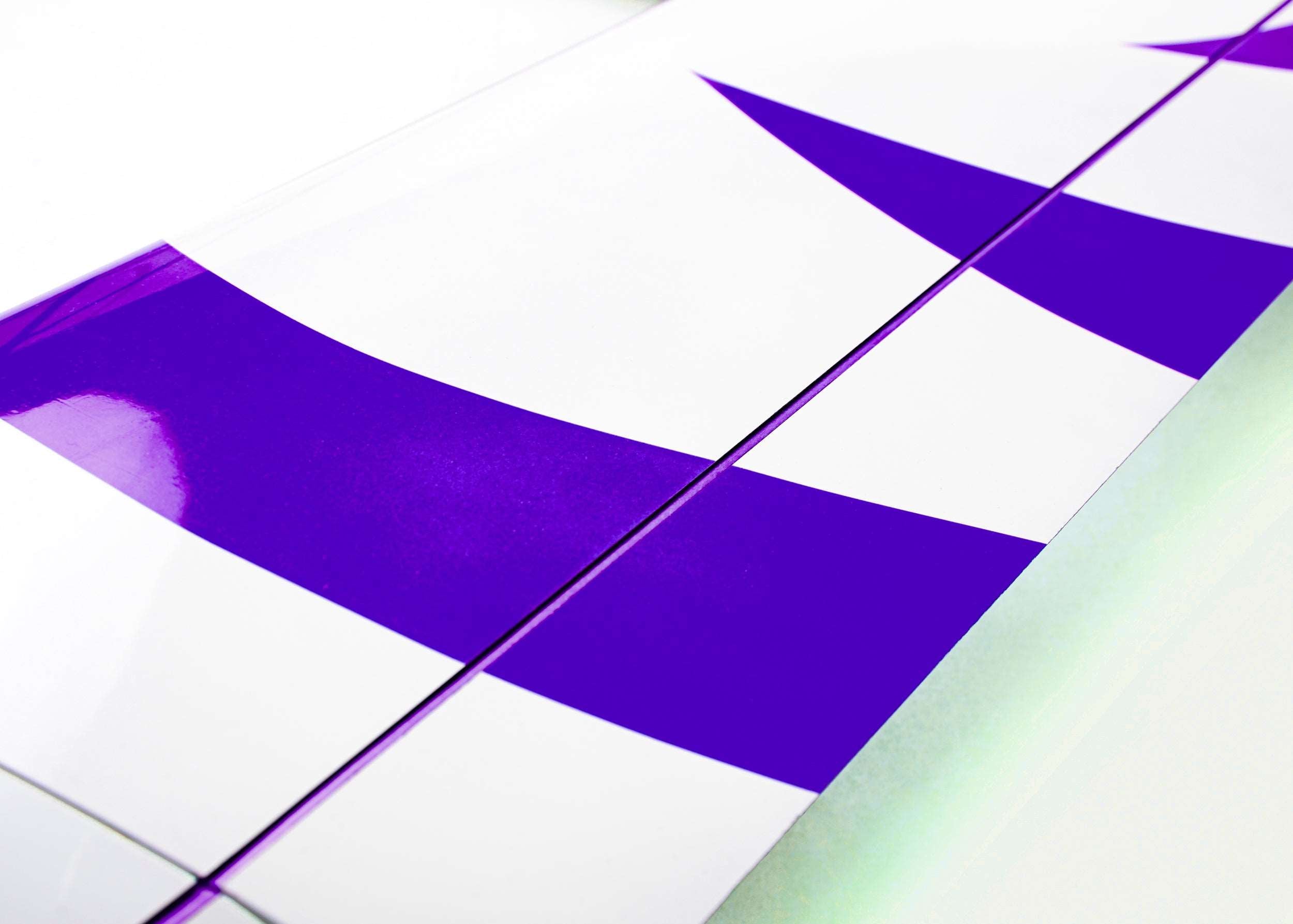 F3J Voyager - White & Purple